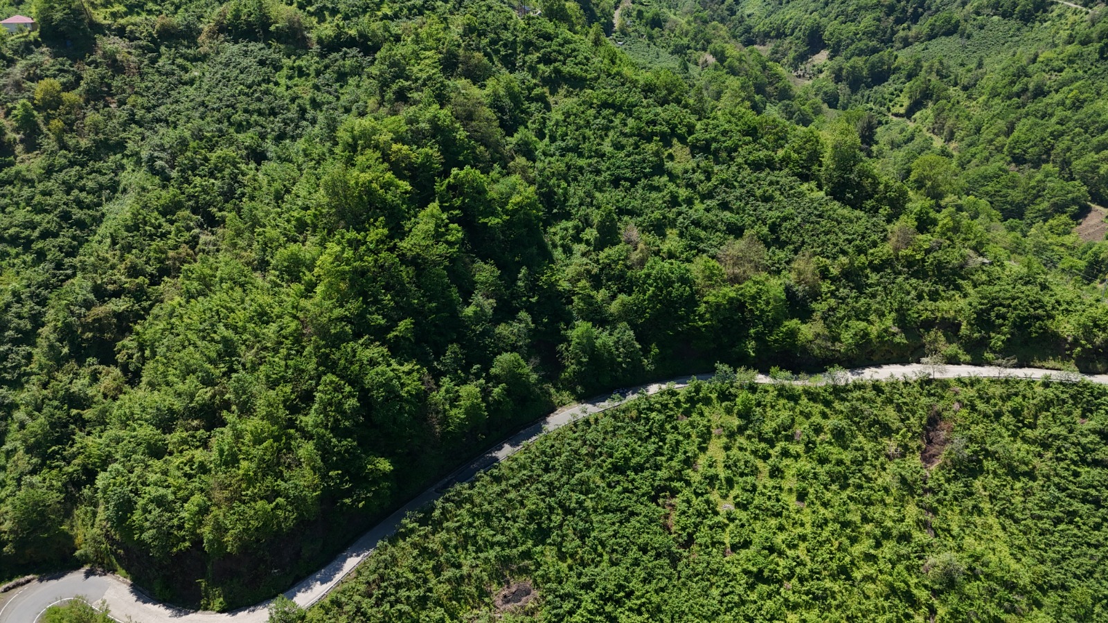 MABEL'DEN KORKUTHAN MAH ANAYOL KENARI 1.960 M2 SATILIK ARAZİ